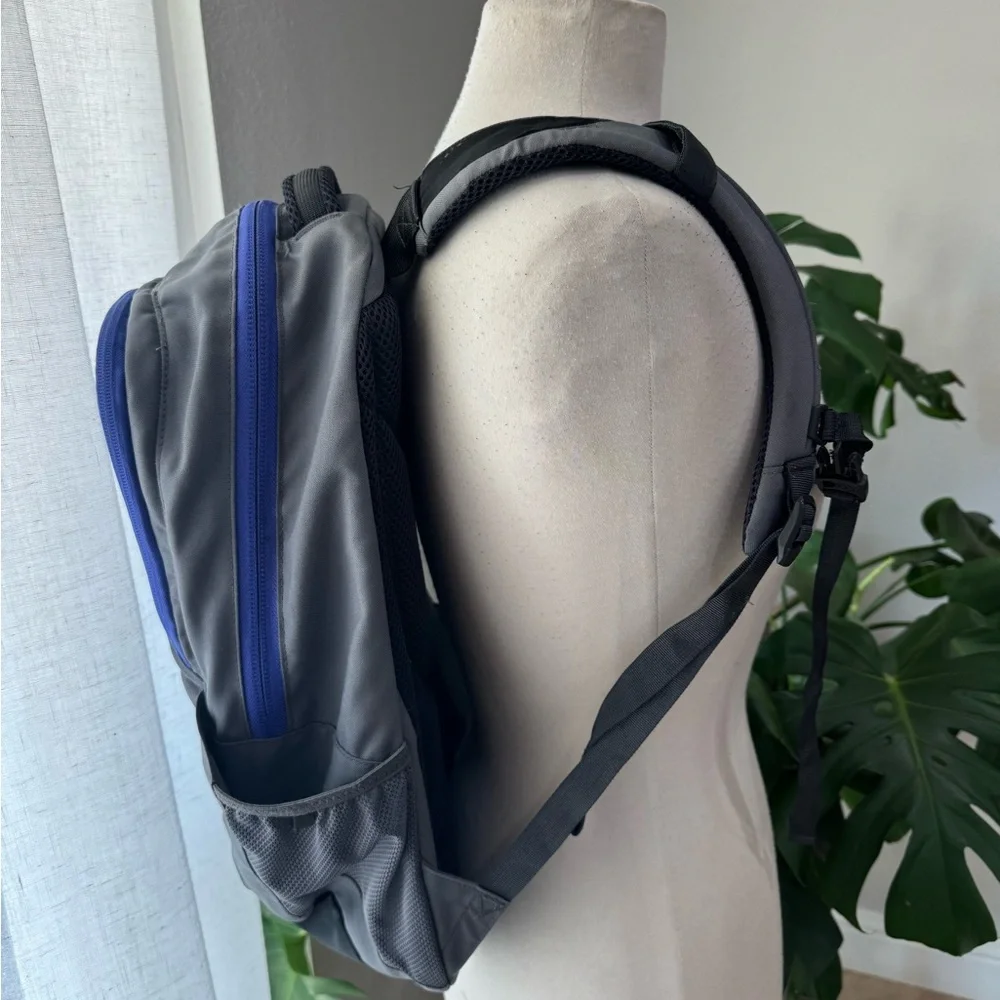 The‎ North Face Gray and Purple Outdoor Backpack Jester
